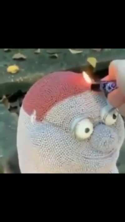 Petar Gryfun is kil