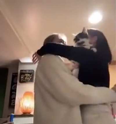 how to Hug a cat 101