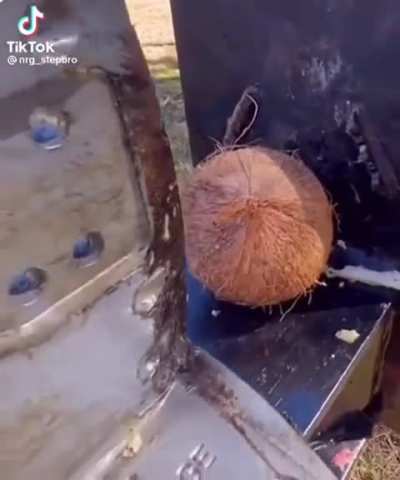 Coconut?