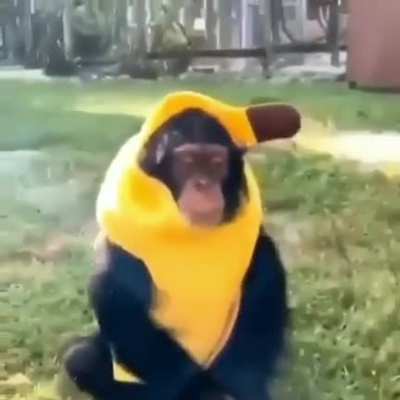 No quer&iacute;a decirlo pero, si hay un pl&aacute;tano Torino 2 😎