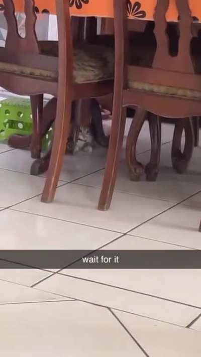 Wait for it