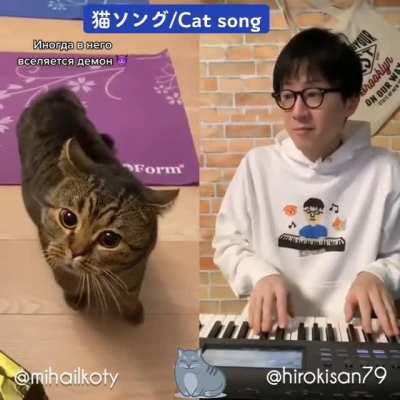 Cat song