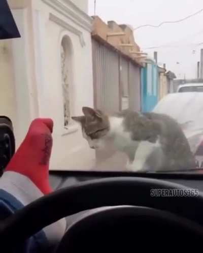 5Head o q poderia dar errado