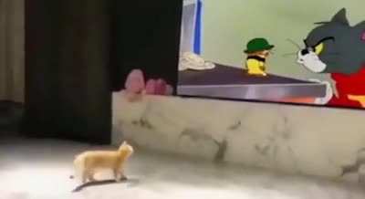 Ужастик на ночь