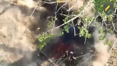Russian soldier's head is blown apart by a drone dropped grenade. Video from the 92nd Brigade of the ZSU