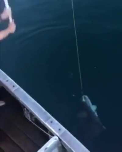 american fishing be like