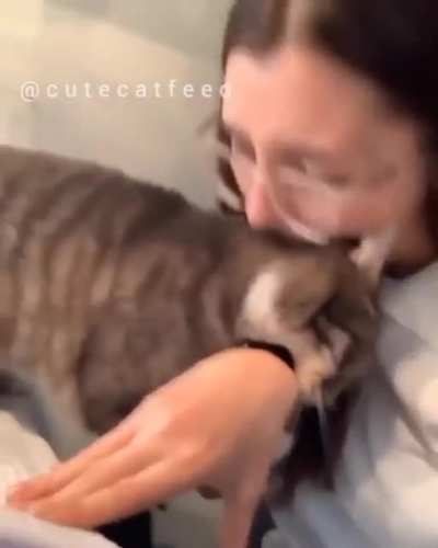 Both are assholes