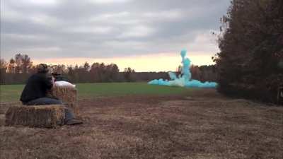gender reveal???