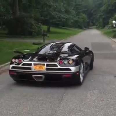 O carro animal mais r&aacute;pido do mundo