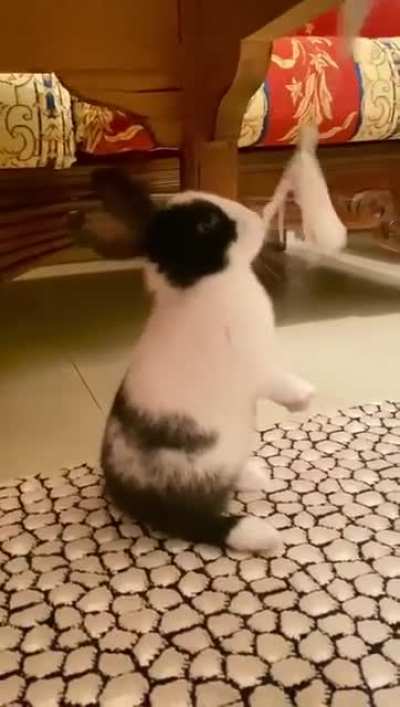 i cant believe oreo used to be this smoooolll😭