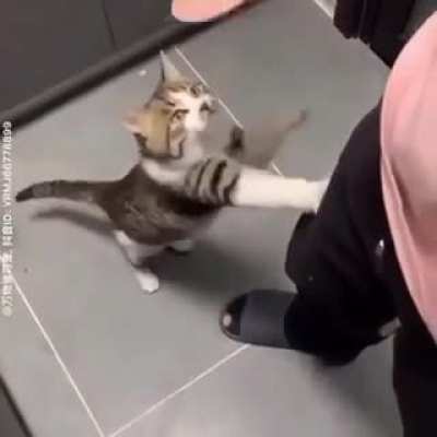 You just got jebaited