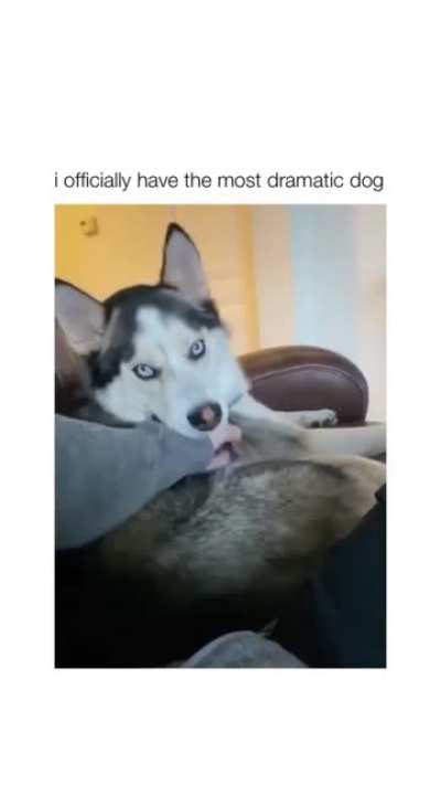 😂