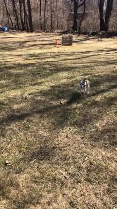 blind boi made it to 19 and is still zoomin&rsquo;