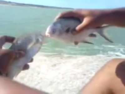fish sex (educational)
