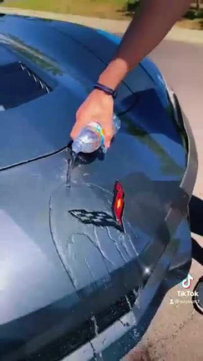 This guy &ldquo;waters&rdquo; his toy Corvette to allow it to grow into the real one!