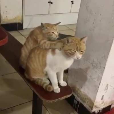 I recently started a massage parlour and would like to offer a 10% discount for all defence pawyers as a thank you for the good work you do.