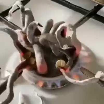 Pills burning on top of stove