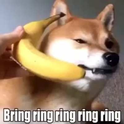 Ring ring ring ring