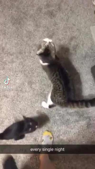 this is a test of the emergency broadcats system.