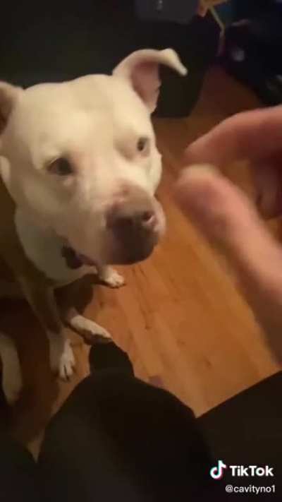 Coconut or spoiled milk?