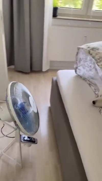 woof_irl