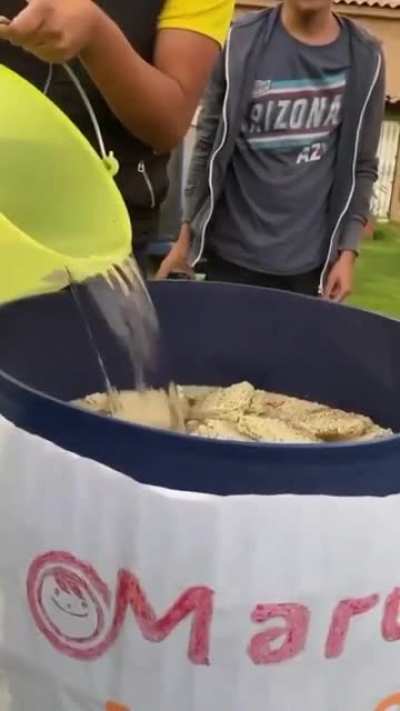 MAAU - Video #1592