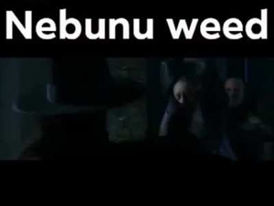 Reupload, deoarece contul vechi o fost sters, NEBUNU WEED IN ACTIUNE OMFG 😎😎😎😎