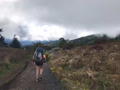 Someone please help me identify this creature that appears to be running in top left of video. Didn&rsquo;t notice it until I went through my pictures. This was a &lsquo;live photo&rsquo; that I turned into a video. Taken at the top of Roan Mountain last wknd in Tennessee.