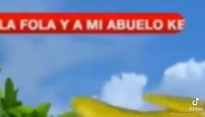 XD