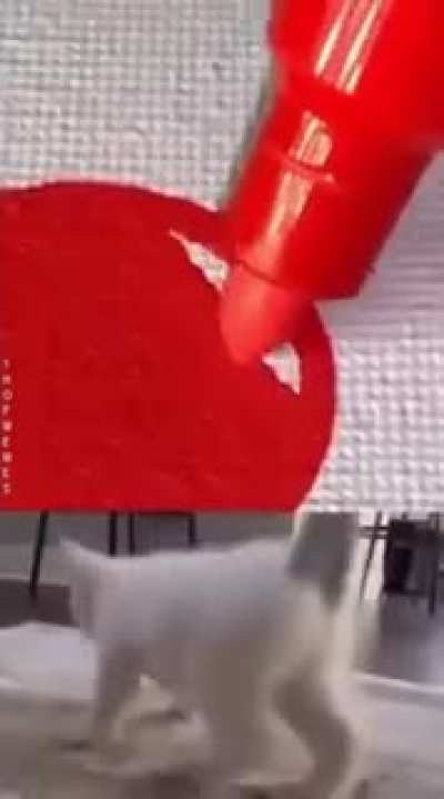 so safitsfifing