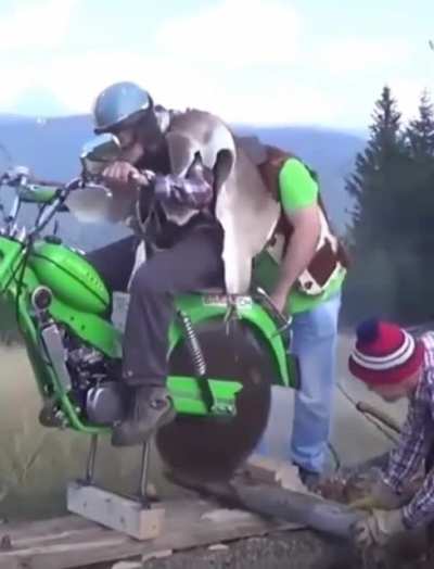 The chainsaw bike