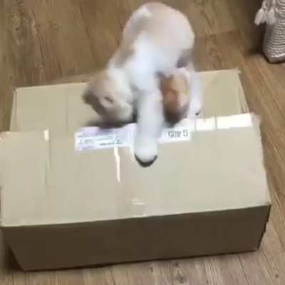 And he was never seen again...