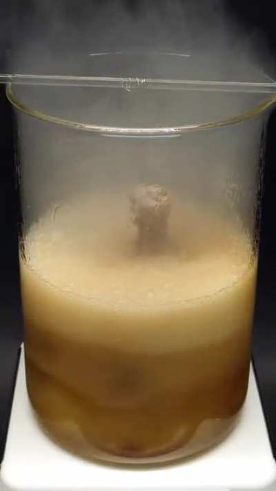 Nilered vaporizing a chicken in acid.