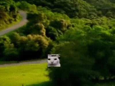 him jumpscare