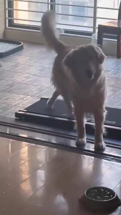 Never skip leg day.