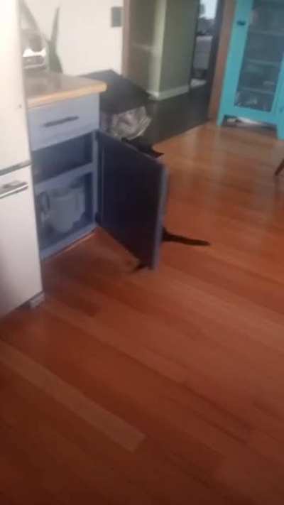 His favorite trick