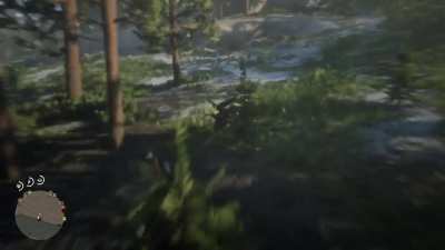 I&rsquo;m new to red dead, is this normal?
