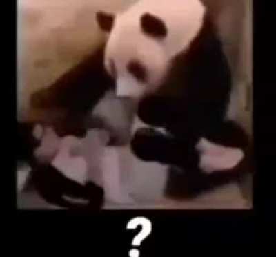 He was the imposter