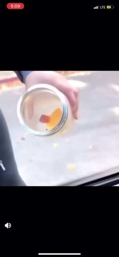 Attack mouse