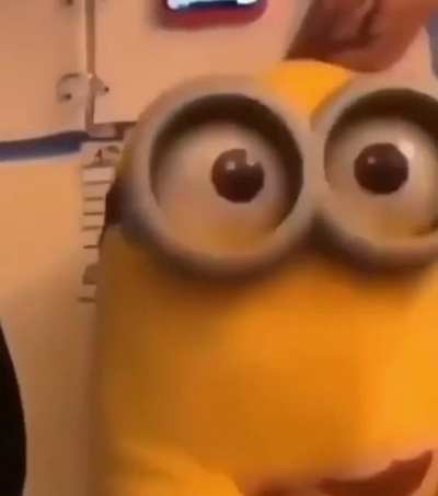 minion.