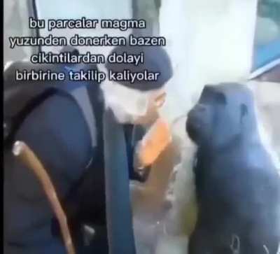 şimdi bakın beyler