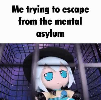 Most mentally stable Koishi fan
