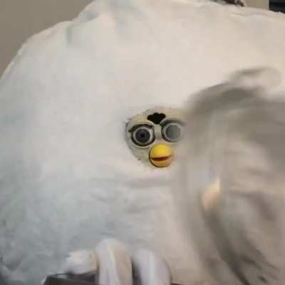 Cursed_Furby