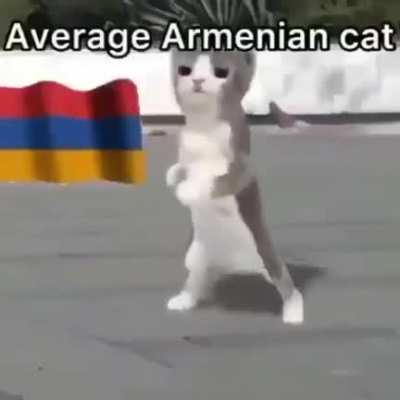 Well, here's a meme I guess