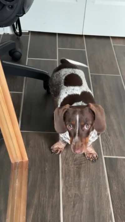 Mabel &ldquo;stomps&rdquo; her feet to get what she wants.