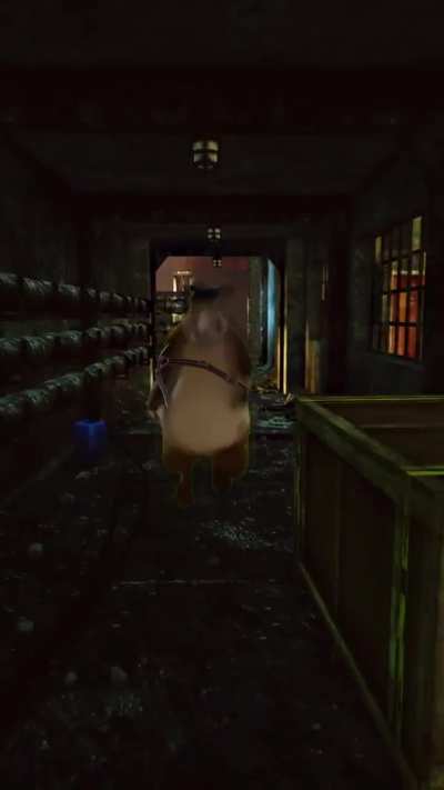 When you spawn Glass hallway and you're new