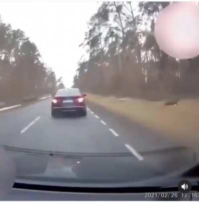 Fuck that black car