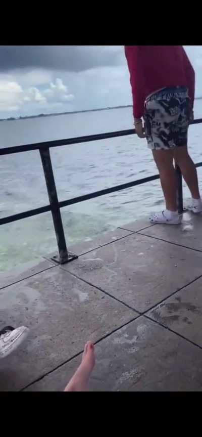Fight ends with guy walking the plankâï¸