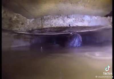 Claustrophobia