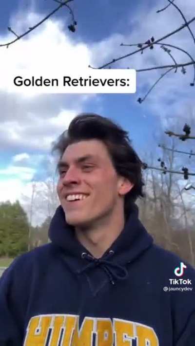 If dog breeds were people
